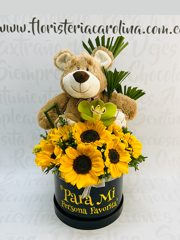 Redondo girasol y oso