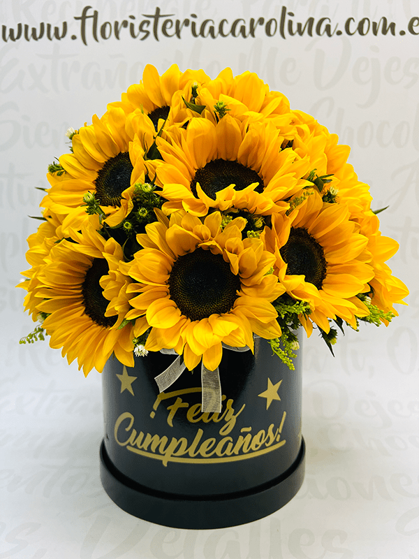 Redondo girasol