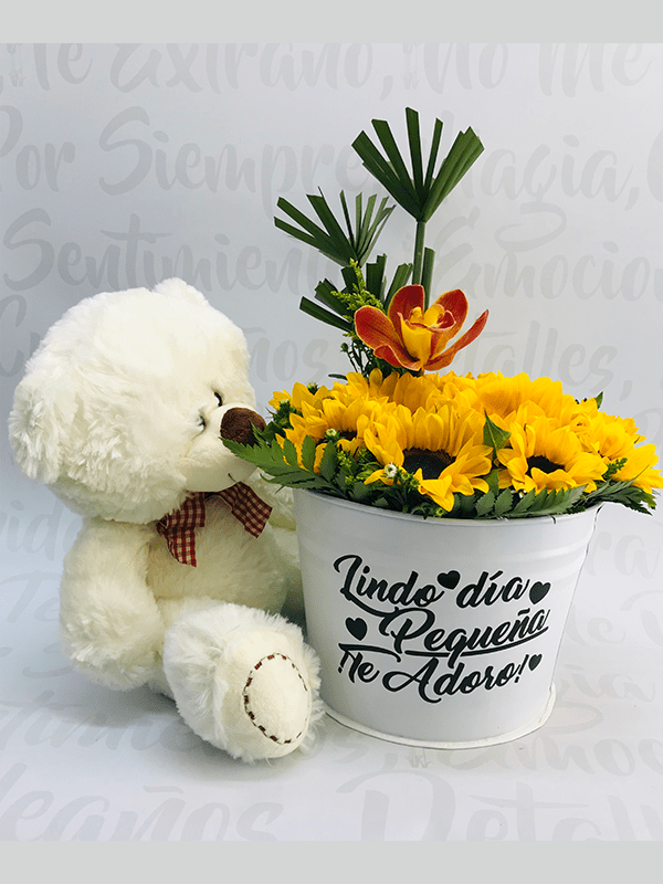 Bucket girasol y oso