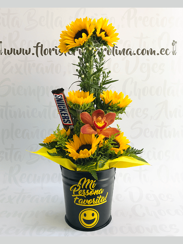 Bucket girasoles y snickers