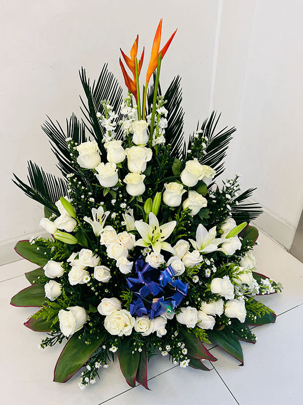 Usf rosas blancas Lilium