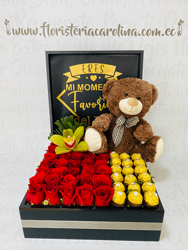 Box rosas y oso café